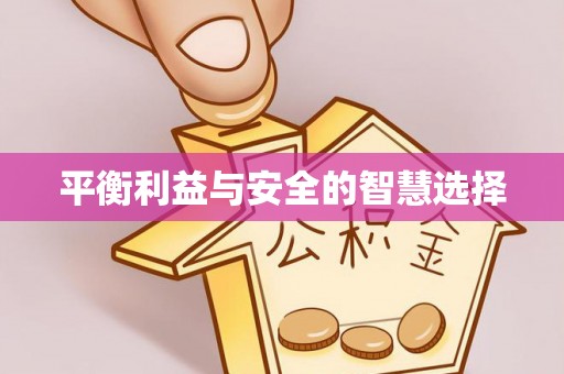 庐阳平衡利益与安全的智慧选择