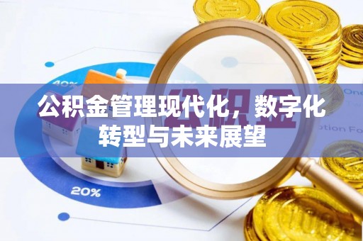 庐阳公积金管理现代化，数字化转型与未来展望