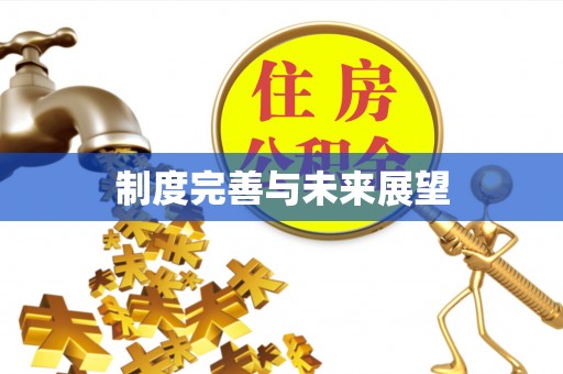 庐阳制度完善与未来展望