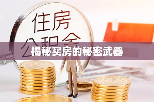 庐阳揭秘买房的秘密武器