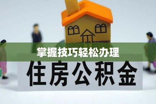 庐阳掌握技巧轻松办理