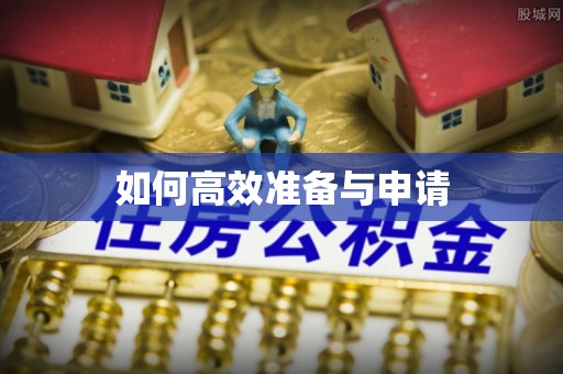 庐阳如何高效准备与申请