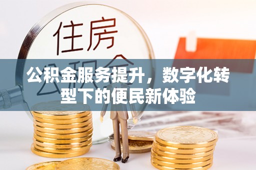 庐阳公积金服务提升，数字化转型下的便民新体验