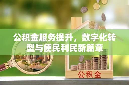 庐阳公积金服务提升，数字化转型与便民利民新篇章
