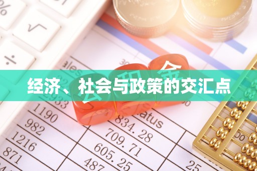 庐阳经济、社会与政策的交汇点