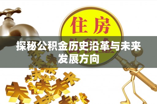 庐阳探秘公积金历史沿革与未来发展方向