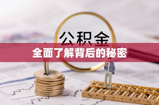 庐阳全面了解背后的秘密
