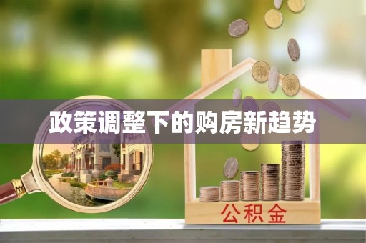 庐阳政策调整下的购房新趋势
