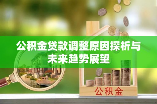 庐阳公积金贷款调整原因探析与未来趋势展望