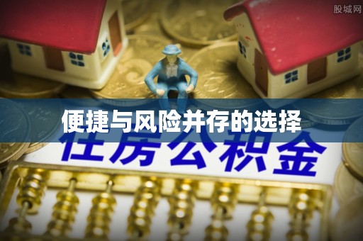 庐阳便捷与风险并存的选择