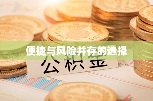 庐阳便捷与风险并存的选择