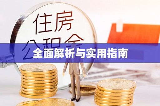 庐阳全面解析与实用指南