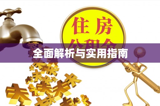 庐阳全面解析与实用指南